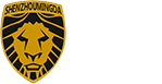 乌克兰 MNG-300 个人隐私保密设备-神州明达